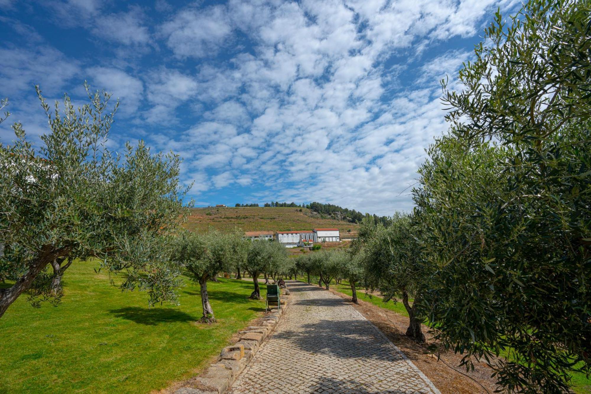 Valonquinta - Agro Hotel & Spa Vila Flor Bagian luar foto
